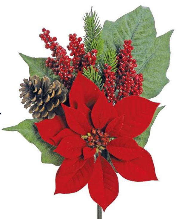 Ramo de Flor de Pascua Roja con Piñas de 19"