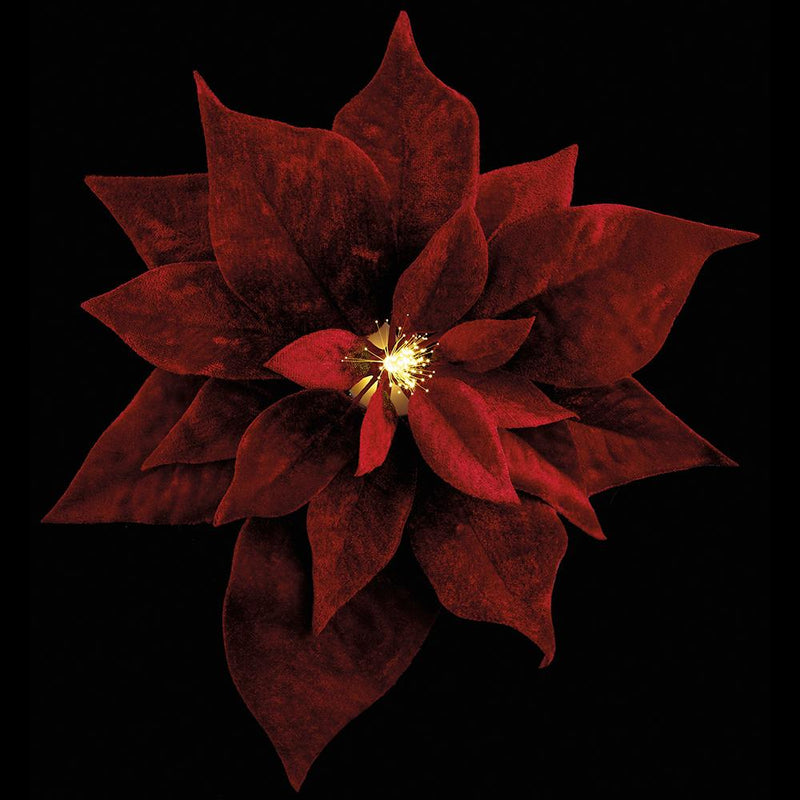 Set de 6 clips de flor de Pascua de terciopelo rojo de 9"