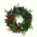 24" Norfolk Pine Wreath Pre Lit Warm White & Multi Color LED Battery Operated