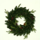 24" Norfolk Pine Wreath Pre Lit Warm White & Multi Color LED Battery Operated