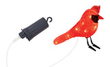 6" 10 LED Red Cardinal With Clipped Feet Battery Operated Set Of 3