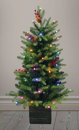 Potted Mountain Tree Pre Lit Warm White & Multi LED Lights