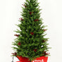 Potted Mountain Tree Pre Lit Warm White & Multi LED Lights