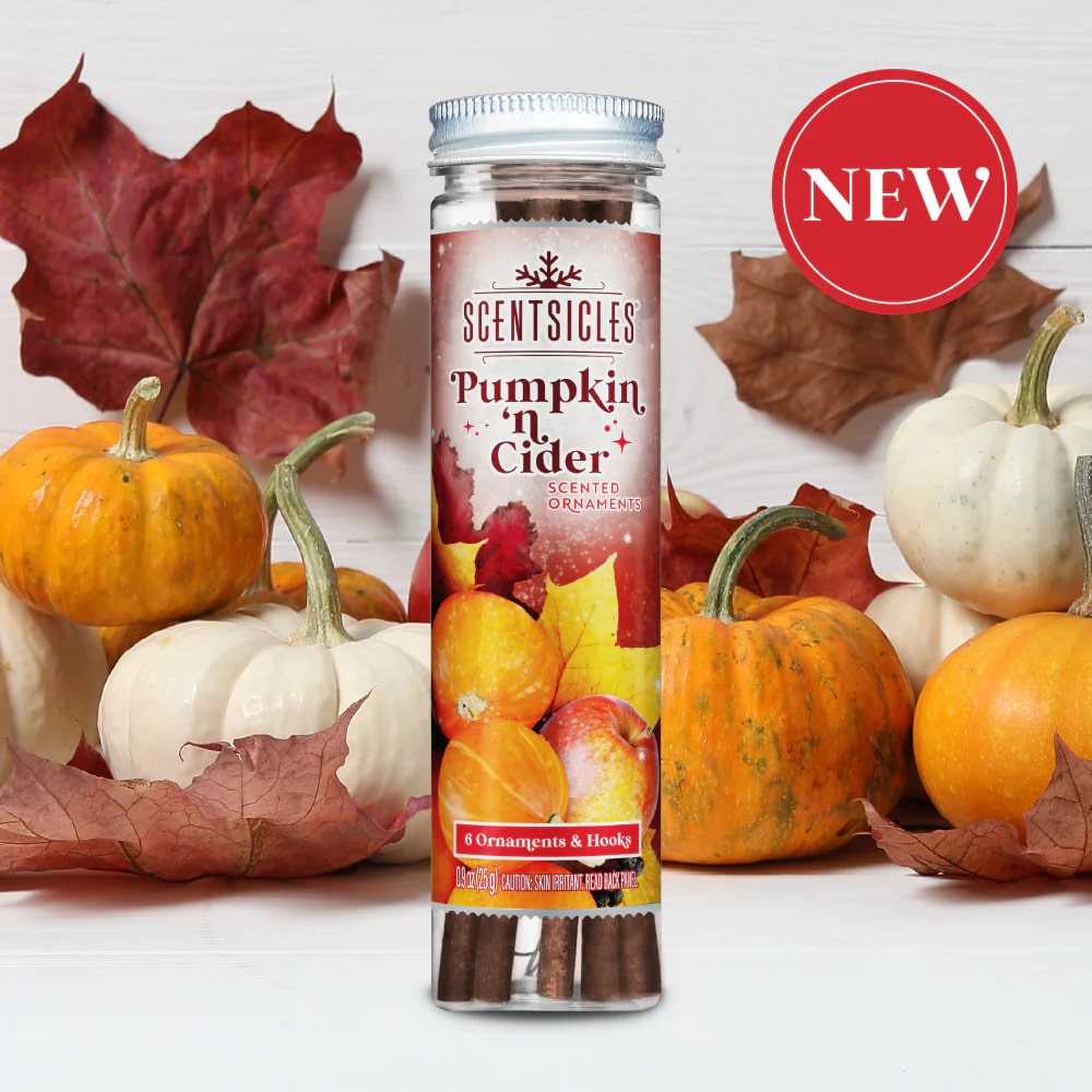 Scentsicles Scented Ornament Sticks, Pumpkin 'N Cider