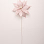 24" Blush Pink Glitter Poinsettia Set Of 12