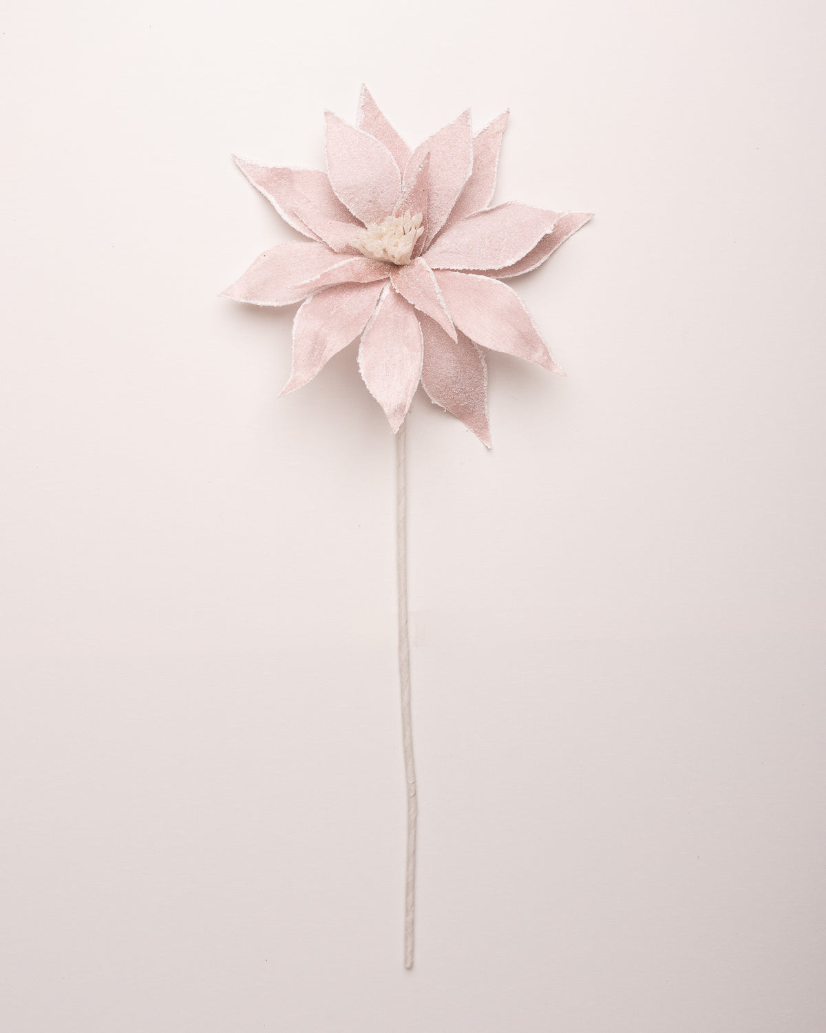 24" Blush Pink Glitter Poinsettia Set Of 12