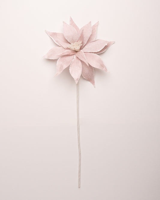 Juego de 12 poinsettias con purpurina rosa rubor de 24"