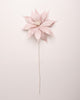 24" Blush Pink Glitter Poinsettia Set Of 12