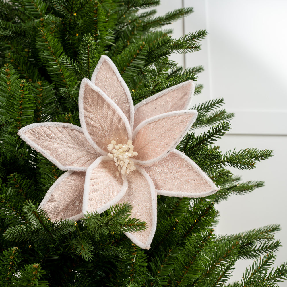 24" Cotton Candy Pink Poinsettia Stem Set Of 12