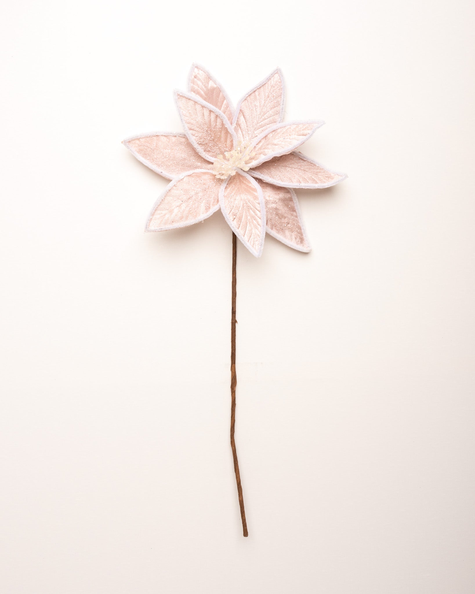 24" Cotton Candy Pink Poinsettia Stem Set Of 12