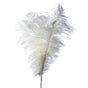 22" Ostrich Plume Feather Spray Set Of 6