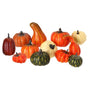 2"- 4" Mixed Harvest Pumpkins Box Of 12