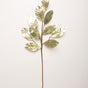 30" Aqua Metallic Magnolia Leaf Spray Set Of 12 Default Title