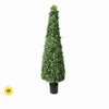 6 FT UV Green Boxwood Cone Potted Topiary