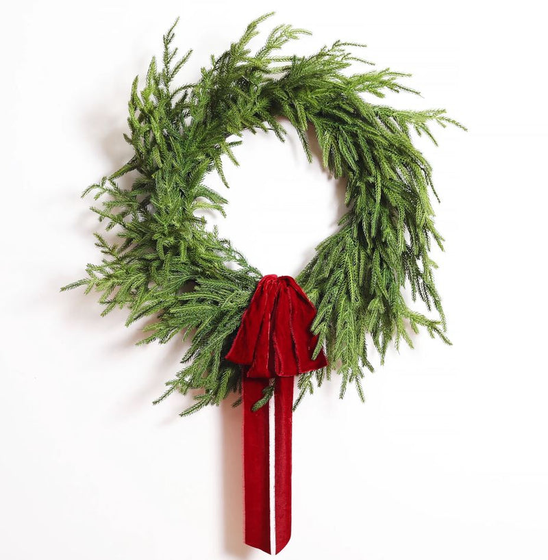 24" Norfolk Pine Wreath