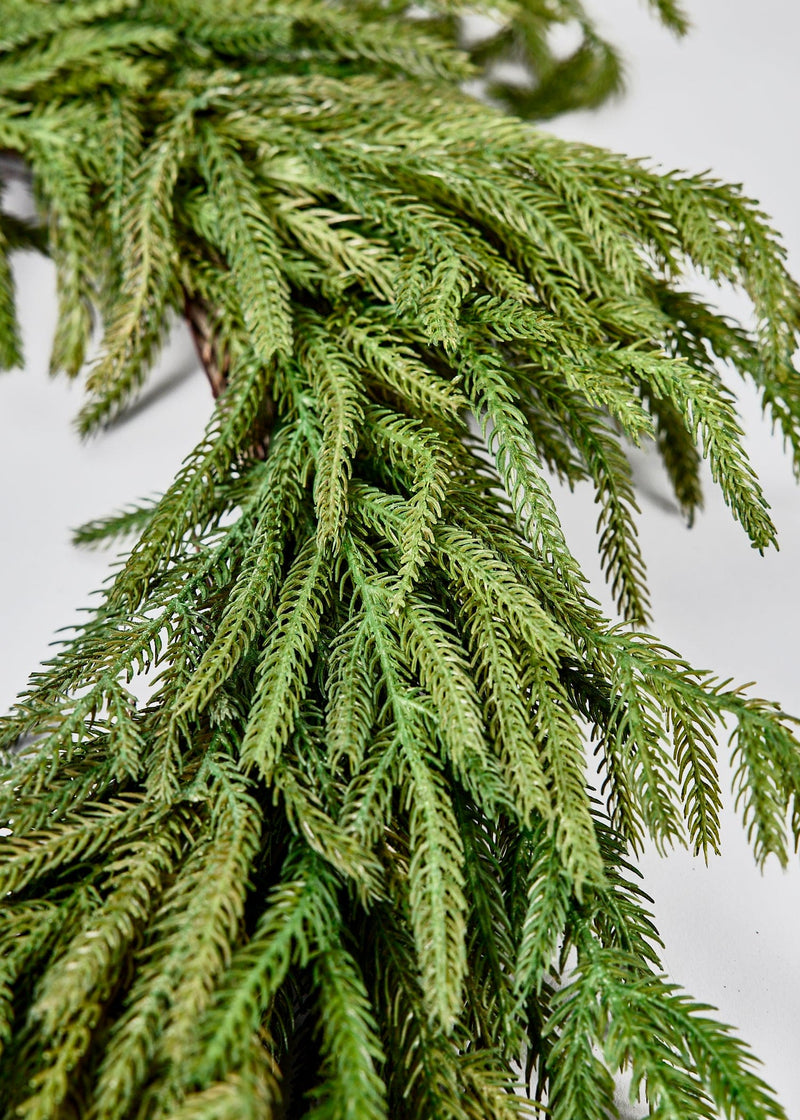 24" Norfolk Pine Wreath
