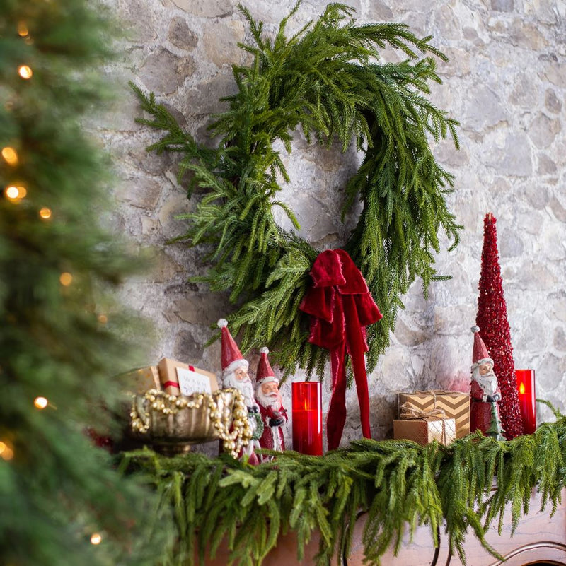 24" Norfolk Pine Wreath