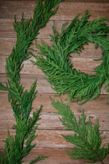 38" Norfolk Spray Set Of 6