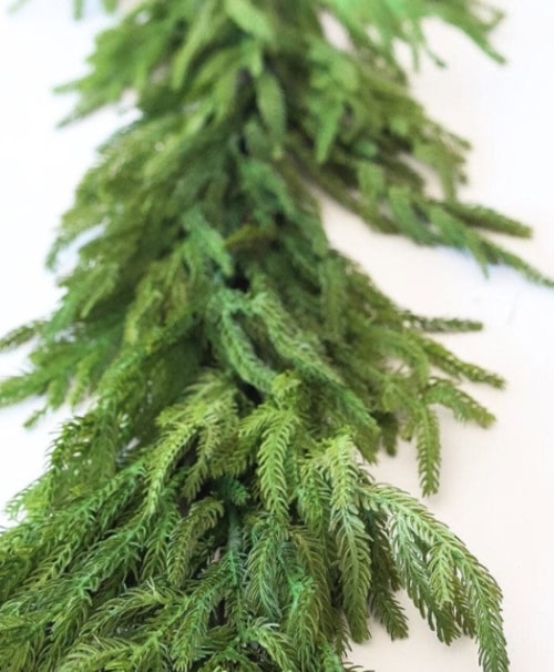 5 FT Norfolk Garland Unlit