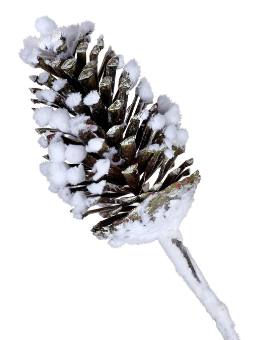 15" Frost Snowy Pinecone Pick Set Of 6
