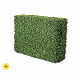 40" X 29" UV Green Boxwood Hedge