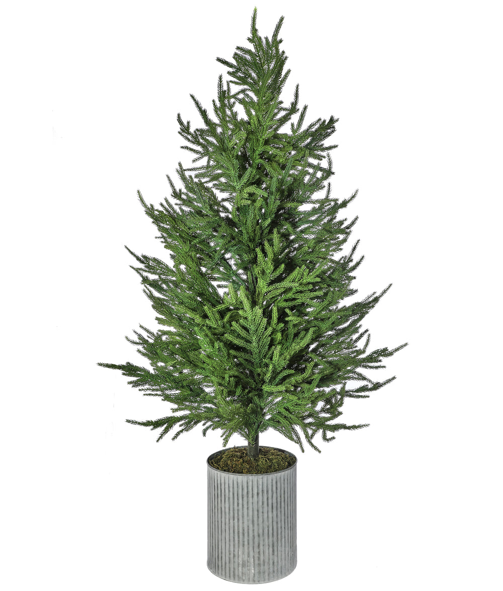 4 FT Potted Norfolk Pine Tree