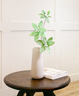 24" Pastel Candy Poinsettia Stem Set Of 6