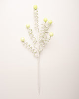 29" Green Candy Stripe Curl Ball Spray Set Of 12