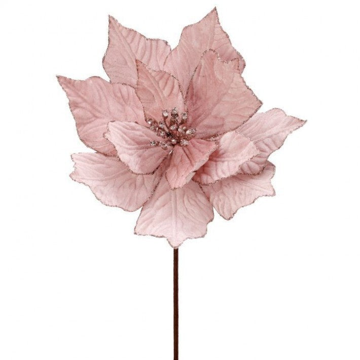 24" Blush Pink Velvet Glitter Poinsettia Stem Set Of 12