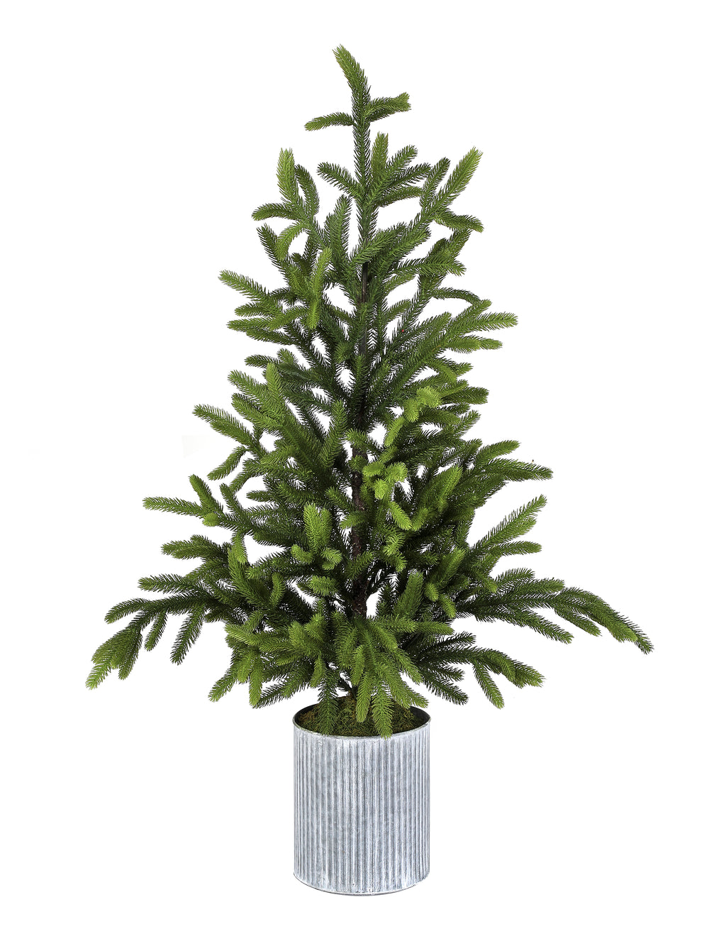 Natural Touch Potted Norway Spruce Tree