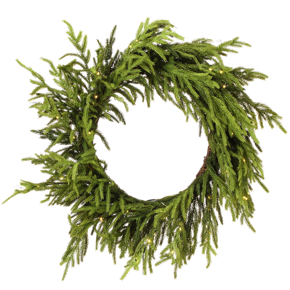 24" Norfolk Pine Wreath Pre-Lit 80LED Battery Operated