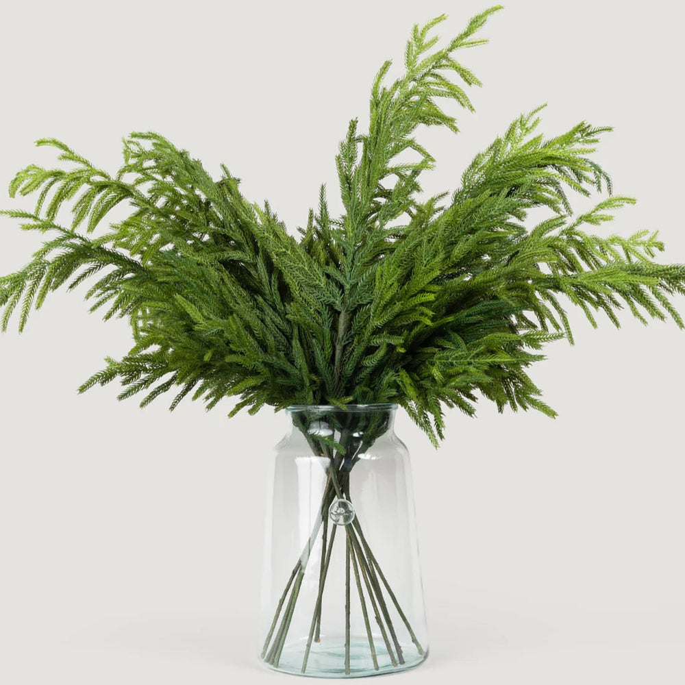 36" Forest Norfolk Pine Spray Set Of 6