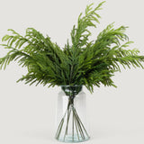 36" Forest Norfolk Pine Spray Set Of 6