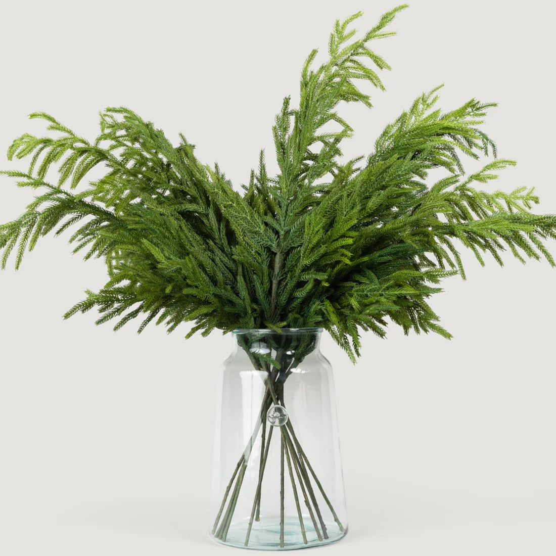 36" Forest Norfolk Pine Spray Set Of 6