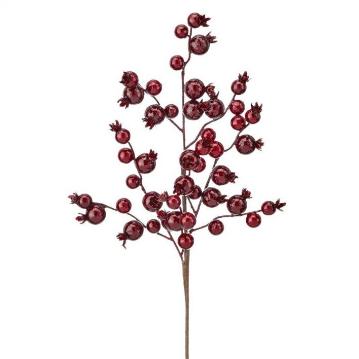 17" Burgundy Berry Ridge Pick Set Of 12