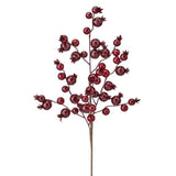 17" Burgundy Berry Ridge Pick Set Of 12
