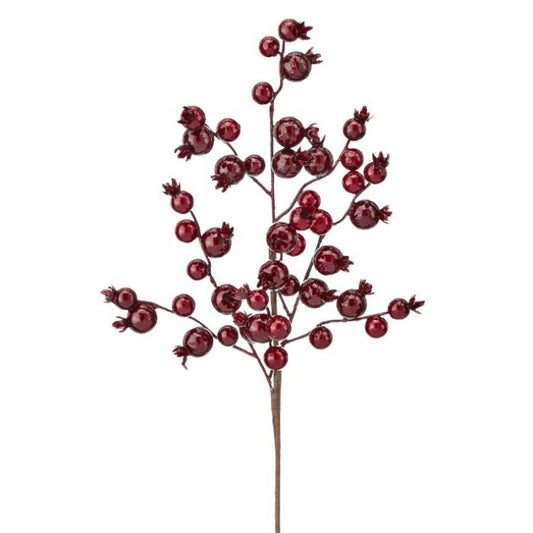17" Burgundy Berry Ridge Pick Set Of 12