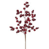 17" Burgundy Berry Ridge Pick Set Of 12