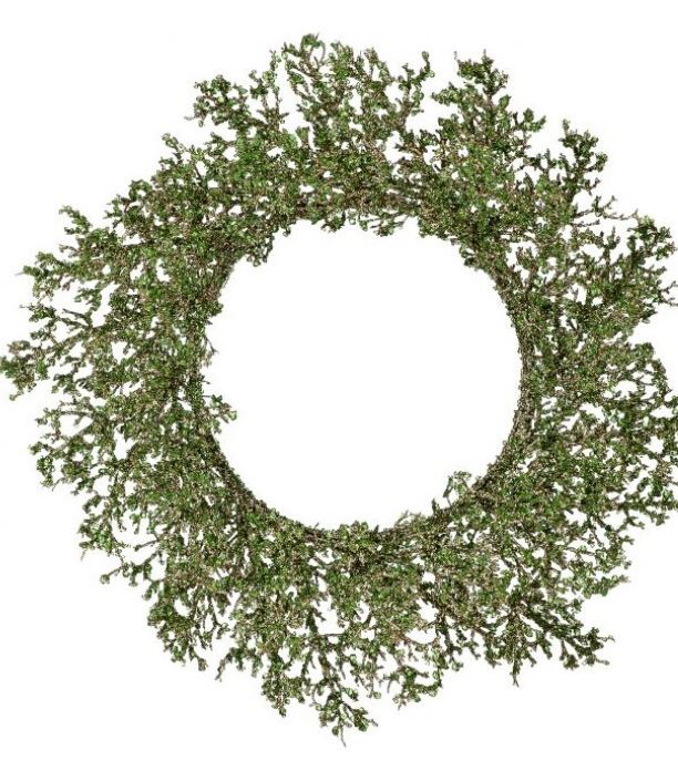 24" Green Glitter Spray Wreath