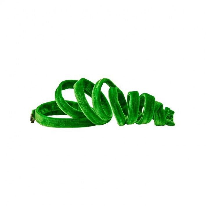 Green spiral spring on a white background