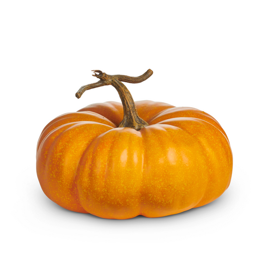 Orange pumpkin with a brown stem on a white background