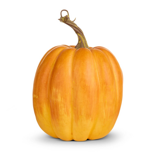 Orange pumpkin with a stem on a white background