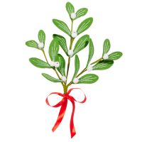 10" Mistletoe Clip On Ornament Set Of 6