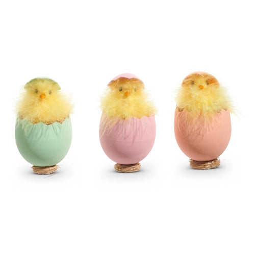 5" Hatched Egg In Nest Assorted Set Of 3