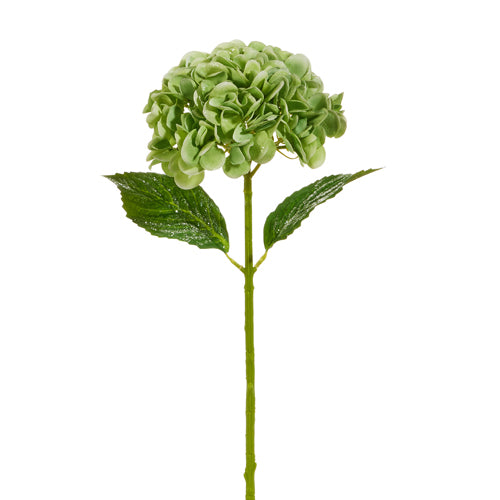 Juego de 4 tallos de hortensias verdes glaseadas de 48 cm