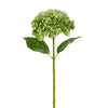 Juego de 4 tallos de hortensias verdes glaseadas de 48 cm