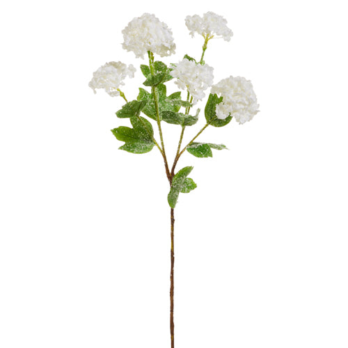 24" Iced White Snowball Hydrangea Stem Set Of 4