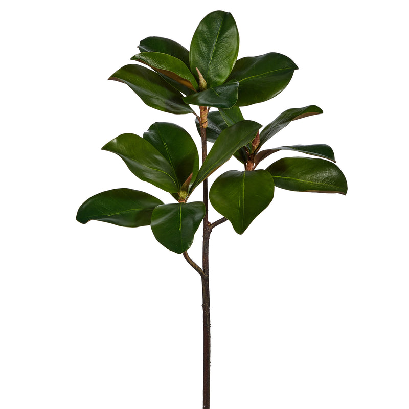 24" Magnolia Leaf Branch Set of 4