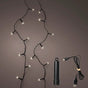 12 FT 50 LED Warm White Twinkle Lights With Black Wire Duracharge