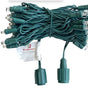 RGBWW With Green Coaxial Cord 50 LED Lights